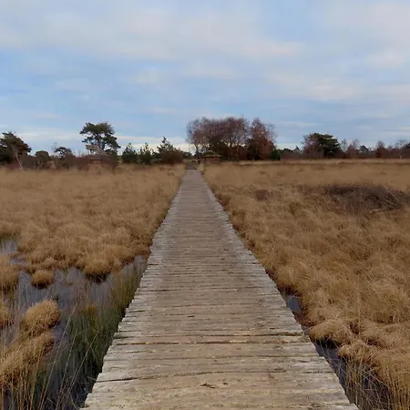 Boshuis Rosanne Prázdninový dům