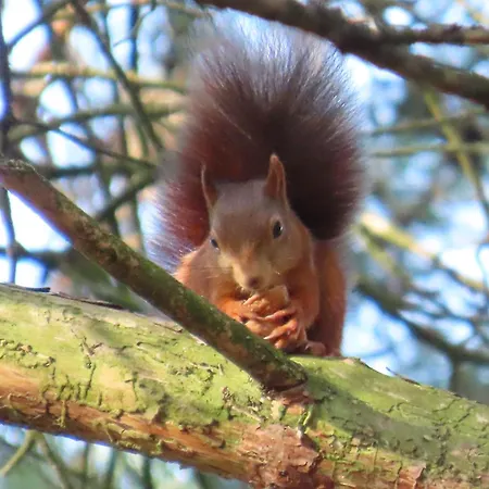 Boshuis Rosanne Prázdninový dům
