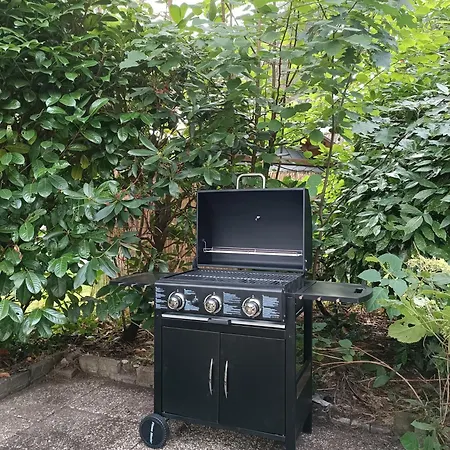 Boshuis Rosanne Hébergement de vacances Meijel