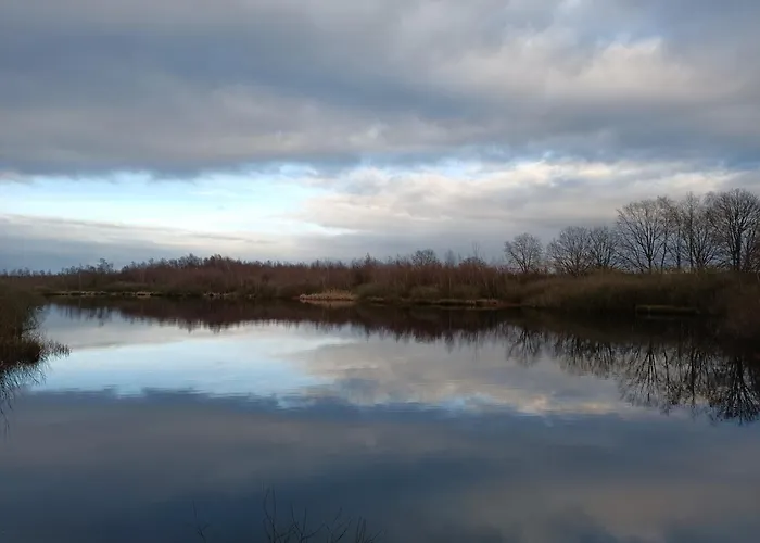 Boshuis Rosanne Meijel