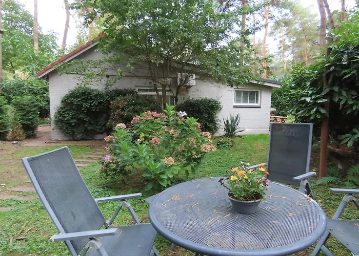 Boshuis Rosanne Meijel