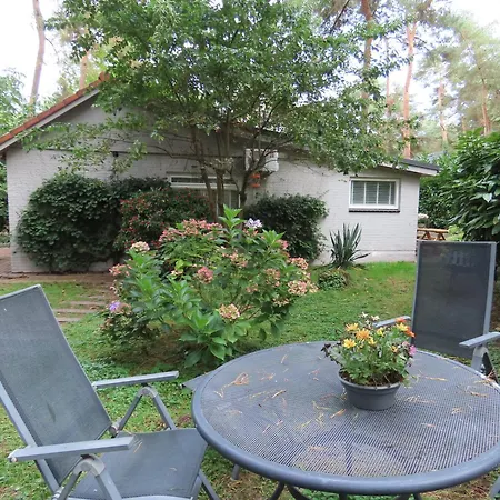 Boshuis Rosanne Meijel